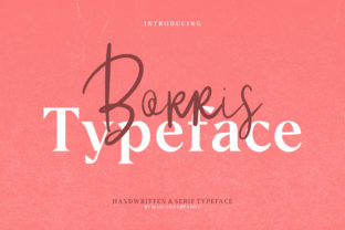 Borris: The Handcrafted Display Font for Modern Web Headers