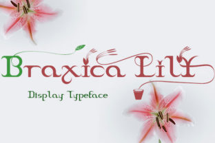 Braxica Lily: A Display Font for Elegant Branding