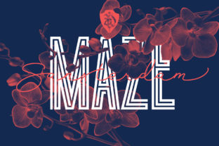 Sansterdam Maze: A Bold Display Font for Editorial Impact
