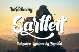 Sarllett Display Font for Elegant Web Headers